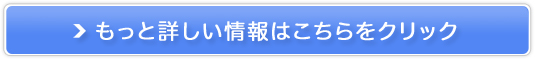 2̓JeLWX~̔TCg